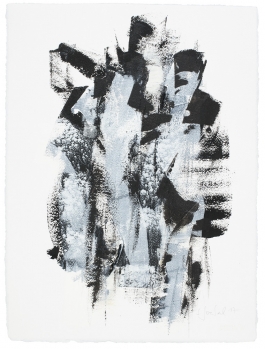 o. T. (V aus der Serie ani-ata) Sylvia Goebel